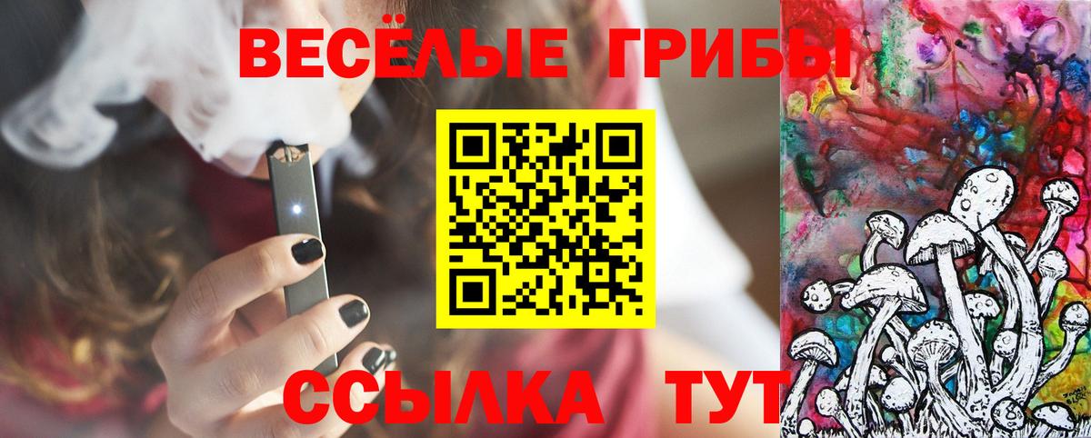 Псилоцибиновые грибы MAGIC MUSHROOMS  Псилоцибиновые грибы мицелий  Йошкар-Ола  Вход с VPN 